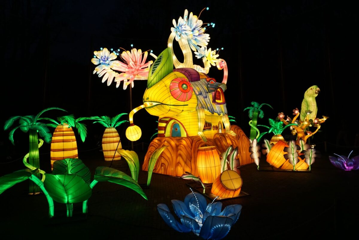 paramaribo zoo by night