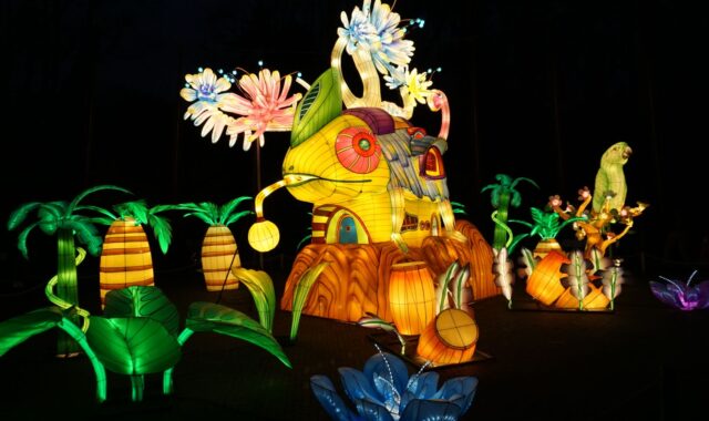 paramaribo zoo by night