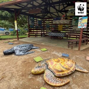 zeeschildpadden educatiecentum