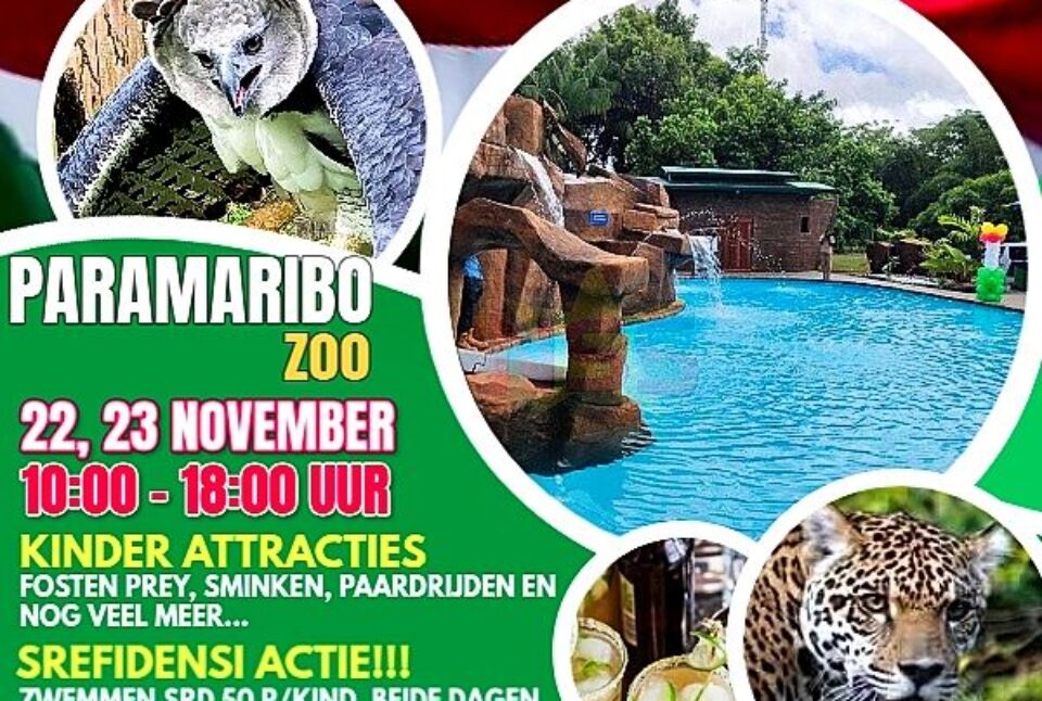 srefi dinsi zoo